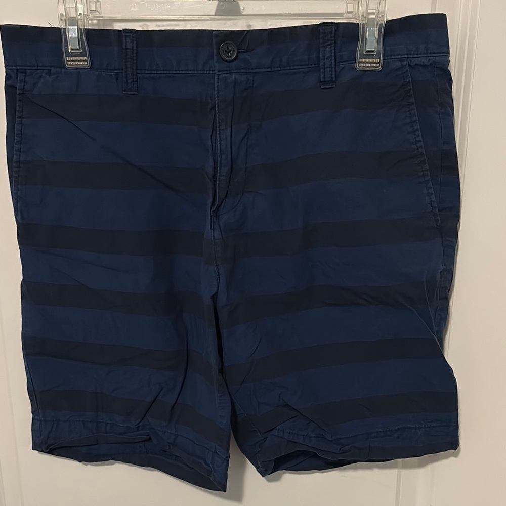 Tommy Hilfiger Blue Flat Front Striped Shorts